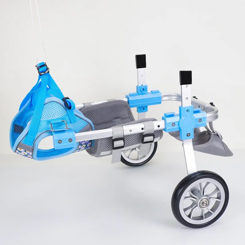 Silla de ruedas para perros con movilidad reducida