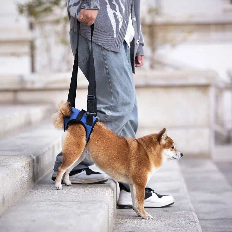 Arnés de Ayuda para Patas Traseras de Perros