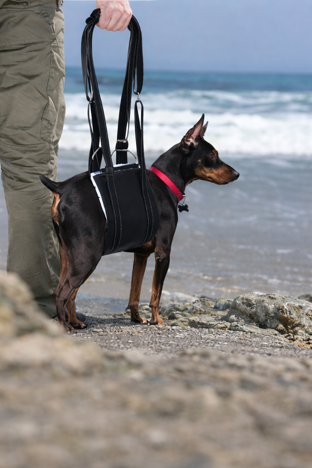 Arnés elevador ajustable