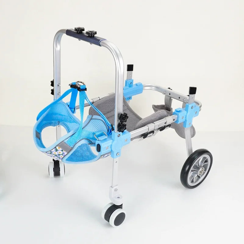 Silla de ruedas para perros con movilidad reducida